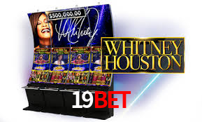 A Experiência Imersiva dos Cassinos Ao Vivo no 19Bet